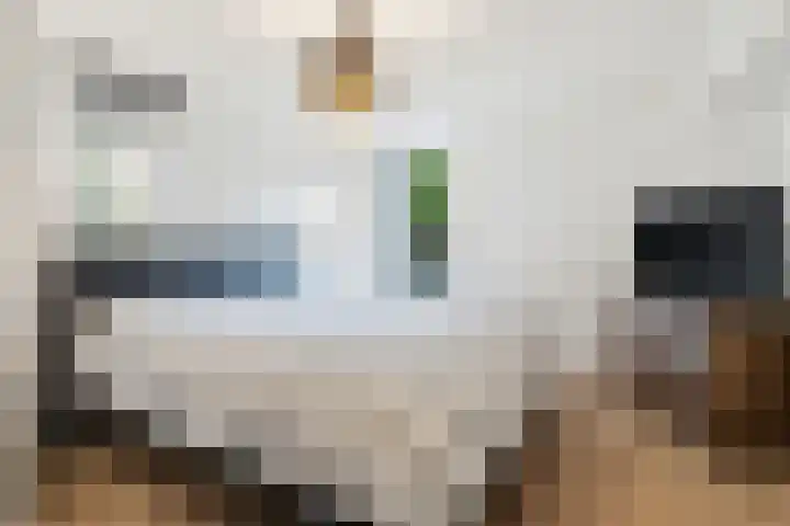 Barbarastraat 8 Schinnen thumbnail 19