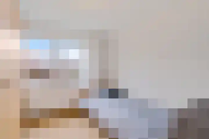 Barbarastraat 8 Schinnen thumbnail 21