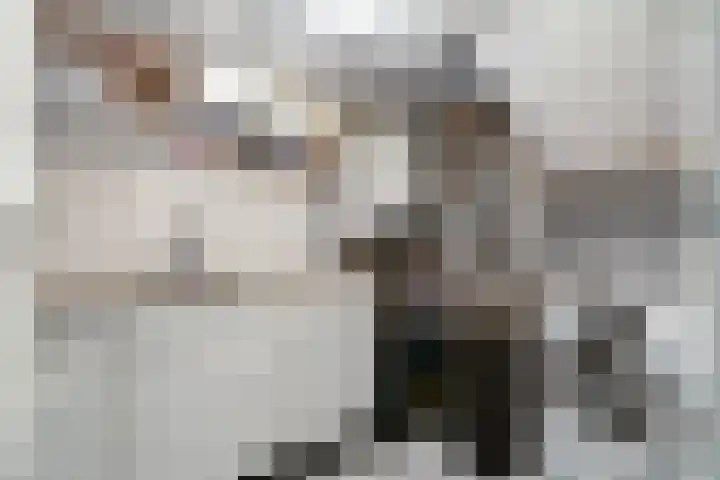 Barbarastraat 8 Schinnen thumbnail 24