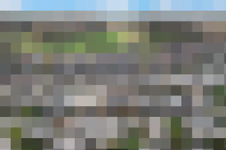 Barbarastraat 8 Schinnen thumbnail 30