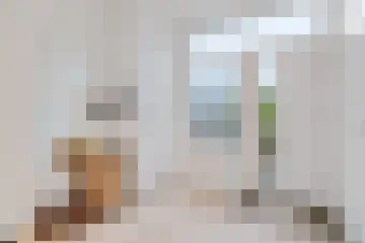 Barbarastraat 8 Schinnen thumbnail 4