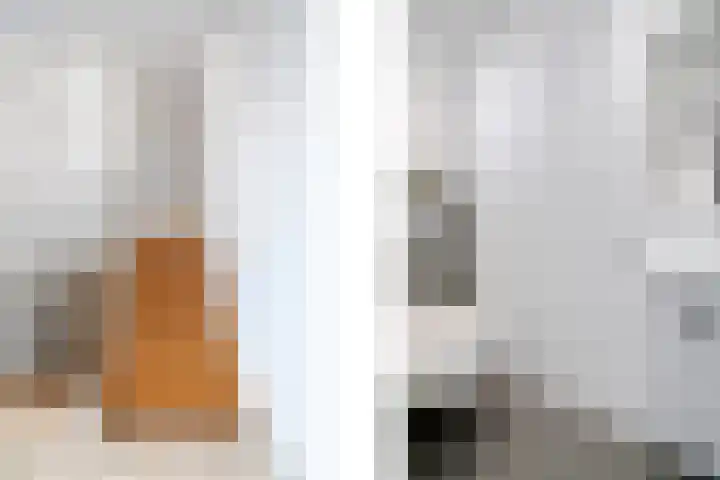 Barbarastraat 8 Schinnen thumbnail 6