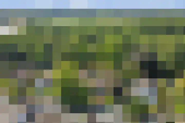 Barbarastraat 9 Helden thumbnail 4