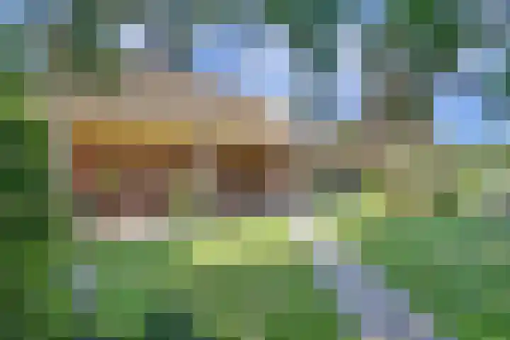 Barbarastraat 9 Helden thumbnail 45