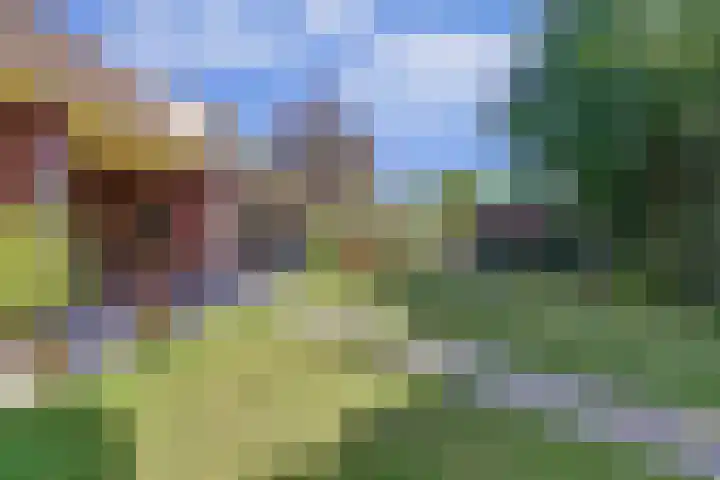 Barbarastraat 9 Helden thumbnail 46