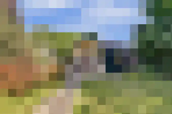 Barbarastraat 9 Helden thumbnail 47
