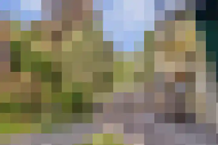 Barbarastraat 9 Helden thumbnail 48