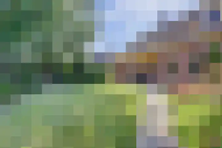 Barbarastraat 9 Helden thumbnail 49