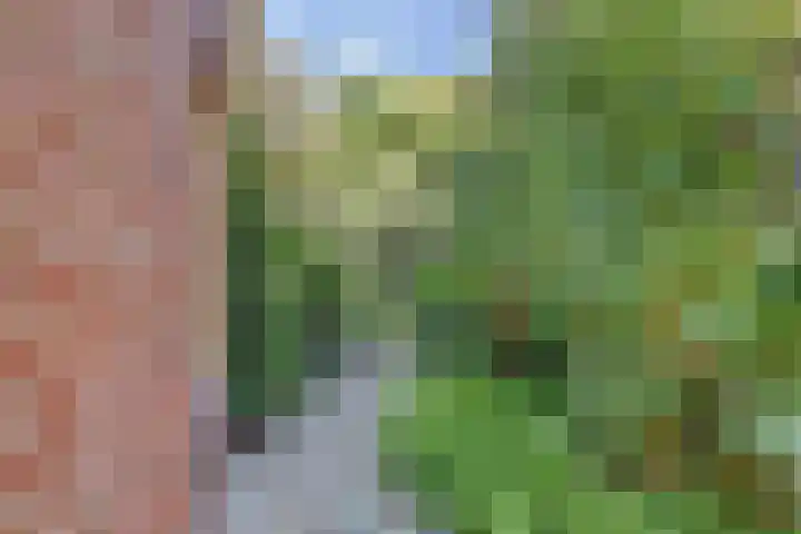 Barbarastraat 9 Helden thumbnail 50