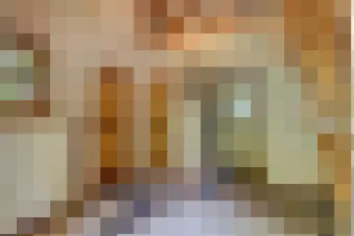Barbarastraat 9 Helden thumbnail 6