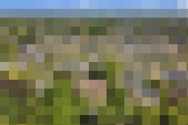Barbarastraat 9 Helden thumbnail 60