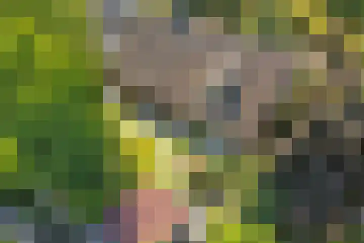 Barbarastraat 9 Helden thumbnail 62