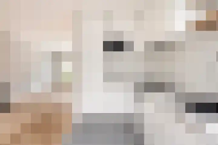 Barbarossastraat 16 Haarlem thumbnail 18