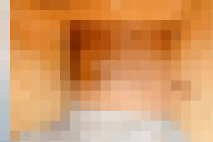Barbarossastraat 16 Haarlem thumbnail 42