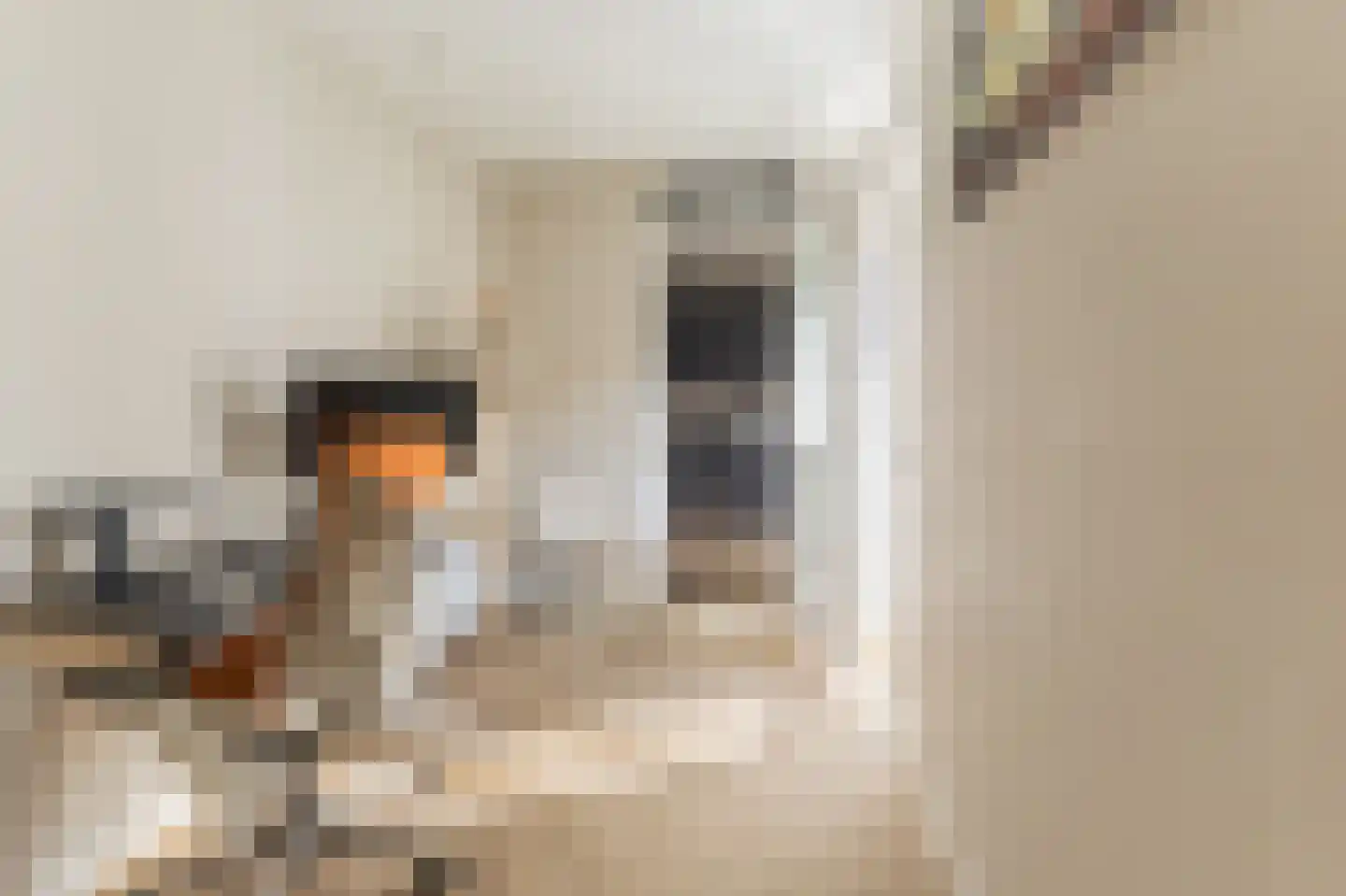 Barbarossastraat 34 Haarlem thumbnail 21