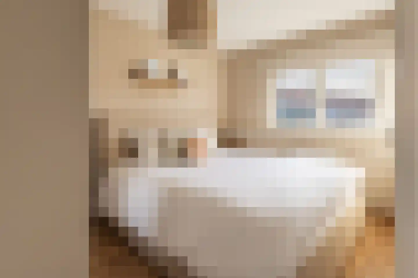 Barbarossastraat 34 Haarlem thumbnail 32
