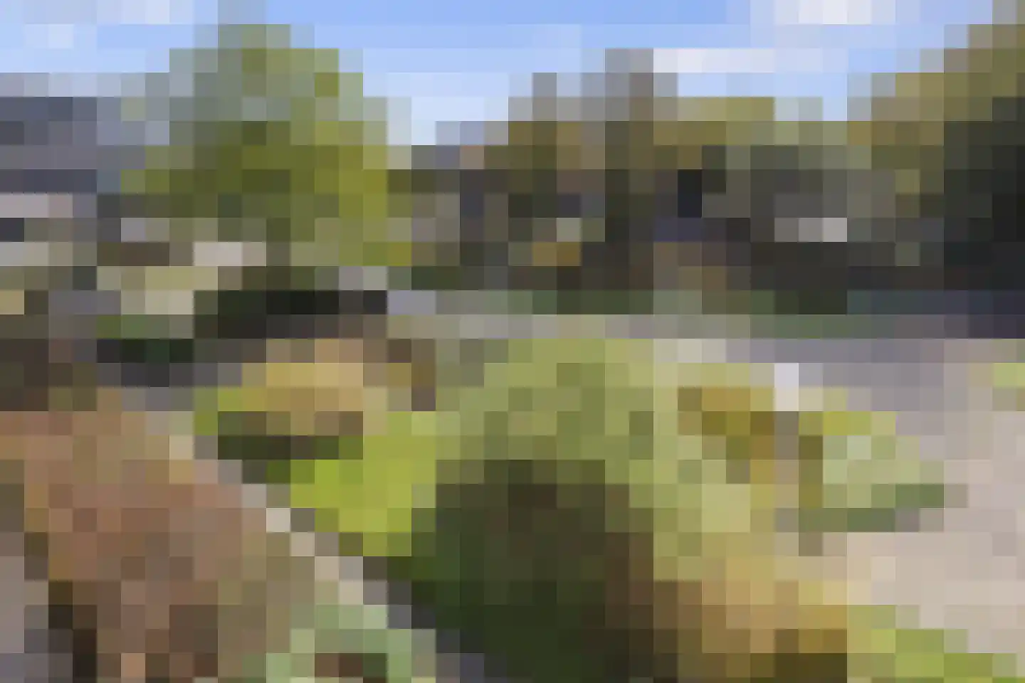 Barbarossastraat 47 Nijmegen thumbnail 28