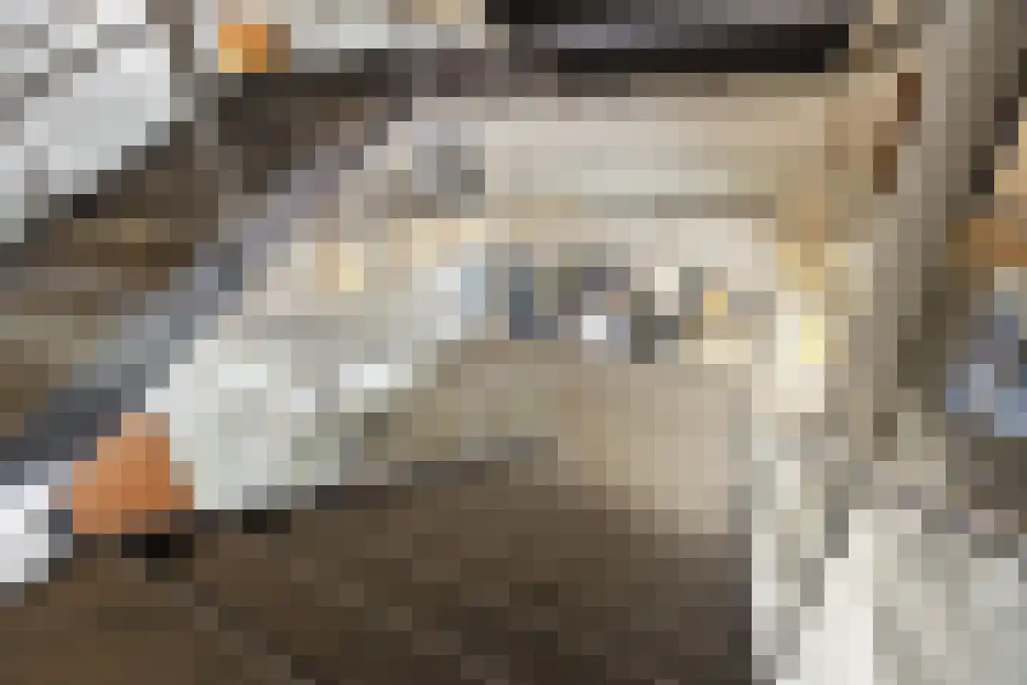 Barbarossastraat 47 Nijmegen thumbnail 39