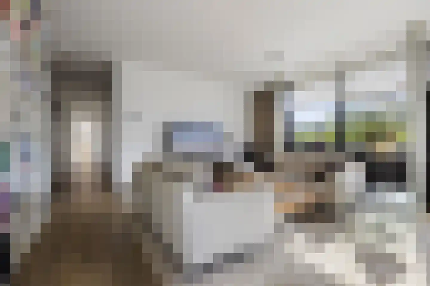 Barbarossastraat 47 Nijmegen thumbnail 5