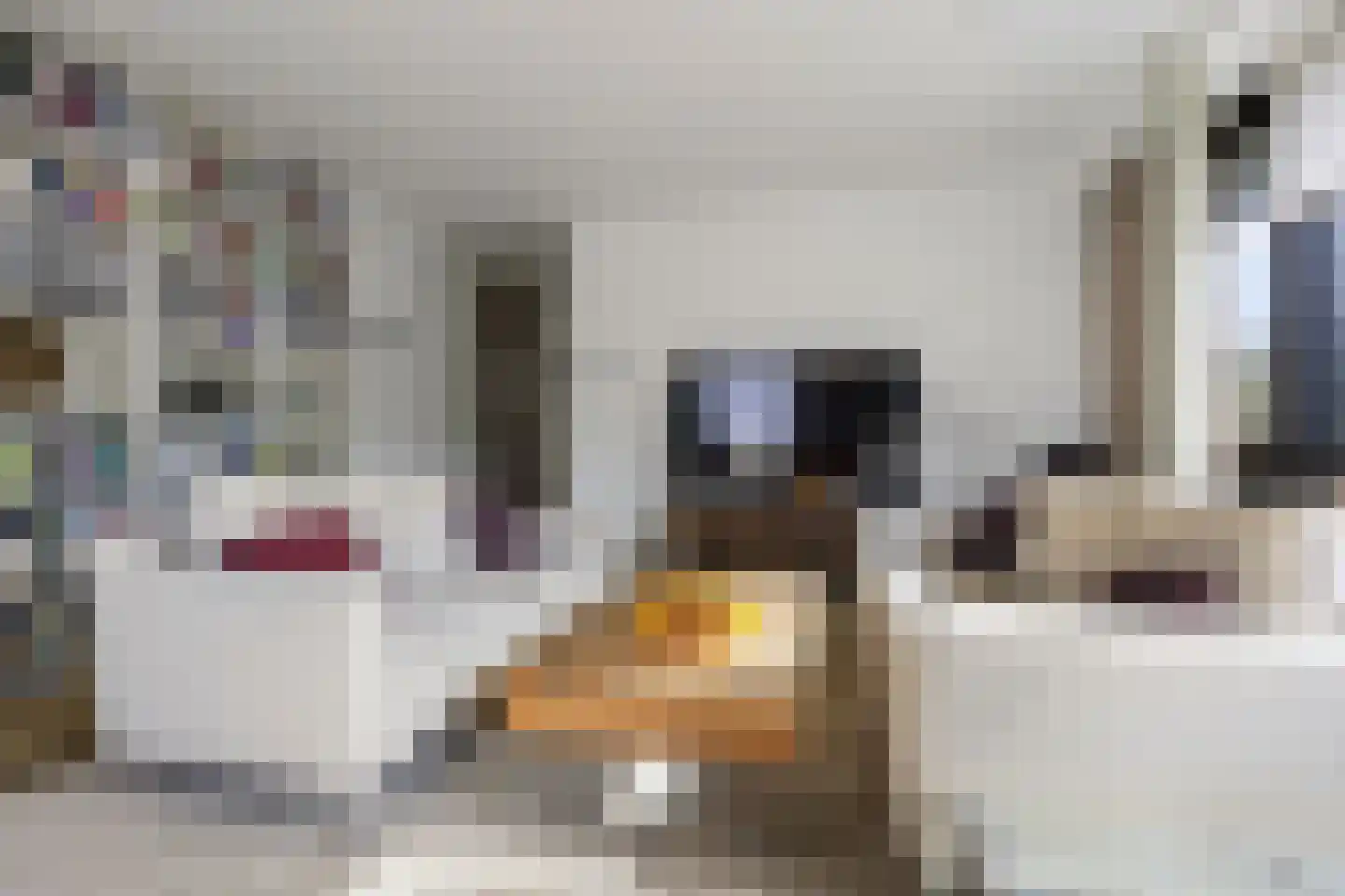Barbarossastraat 47 Nijmegen thumbnail 6