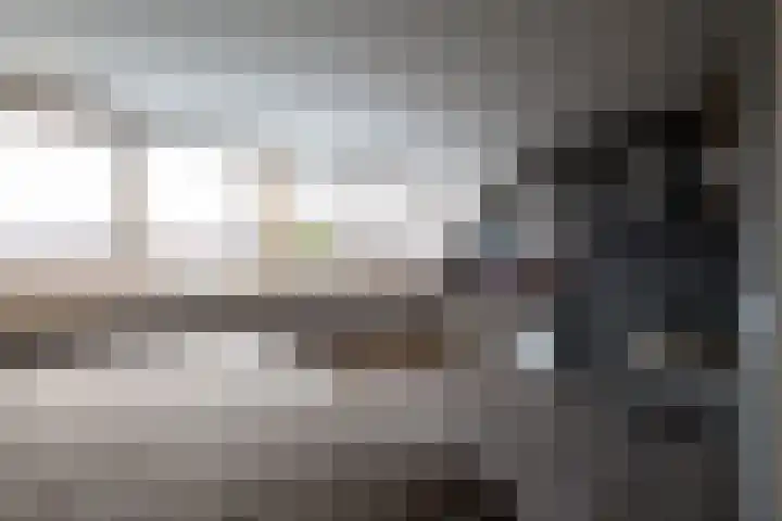 Barbeel 12 Hellevoetsluis thumbnail 18