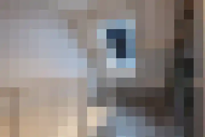 Barbeel 12 Hellevoetsluis thumbnail 28