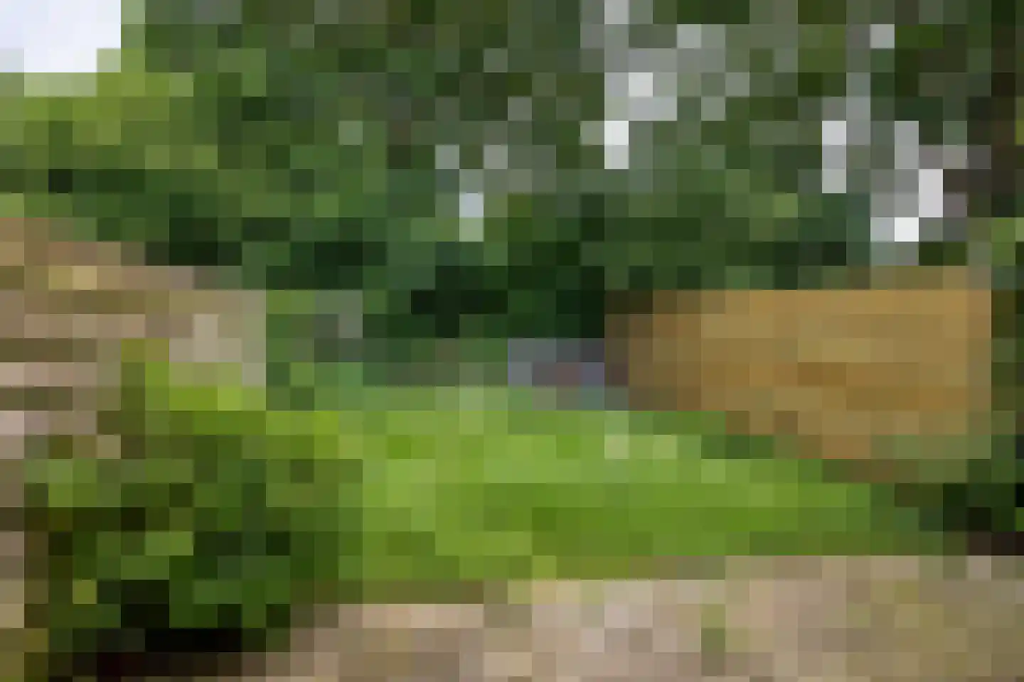 Barbeel 18 Leusden thumbnail 32