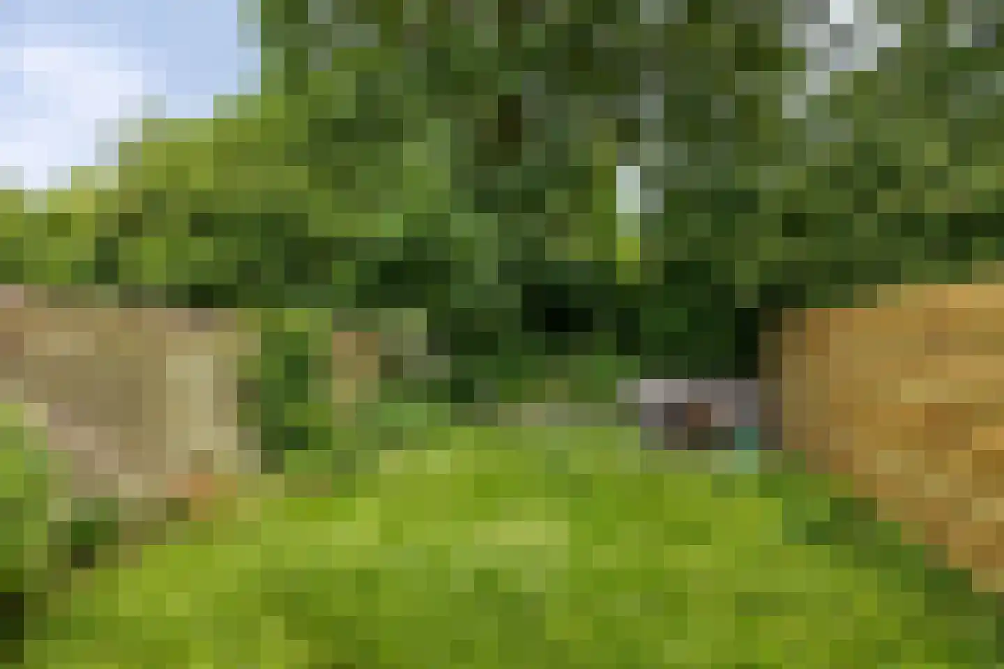 Barbeel 18 Leusden thumbnail 33