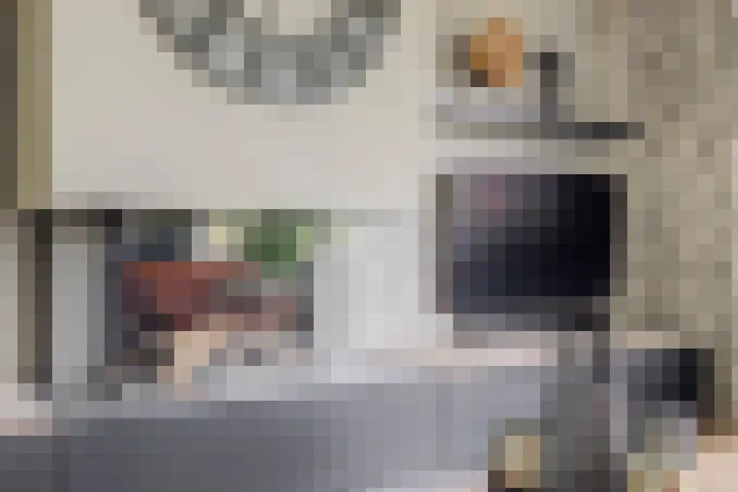 Barbeel 3 Hendrik-Ido-Ambacht thumbnail 11