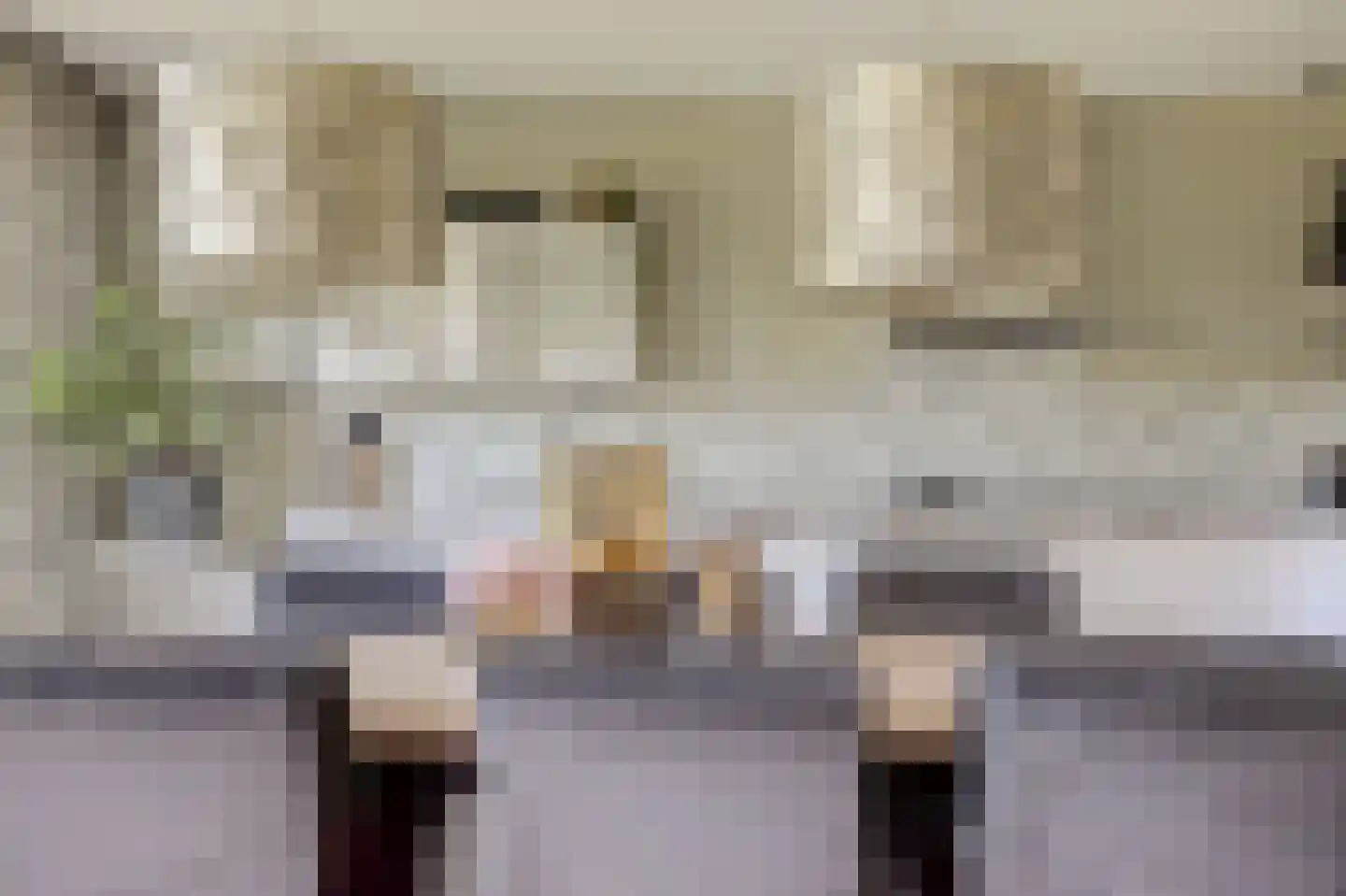 Barbeel 3 Hendrik-Ido-Ambacht thumbnail 15