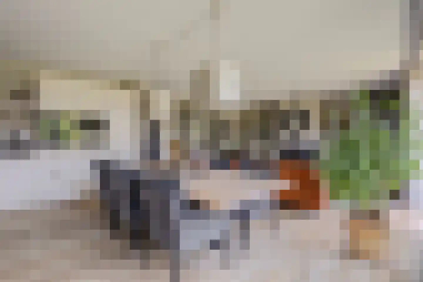 Barbeel 3 Hendrik-Ido-Ambacht thumbnail 18