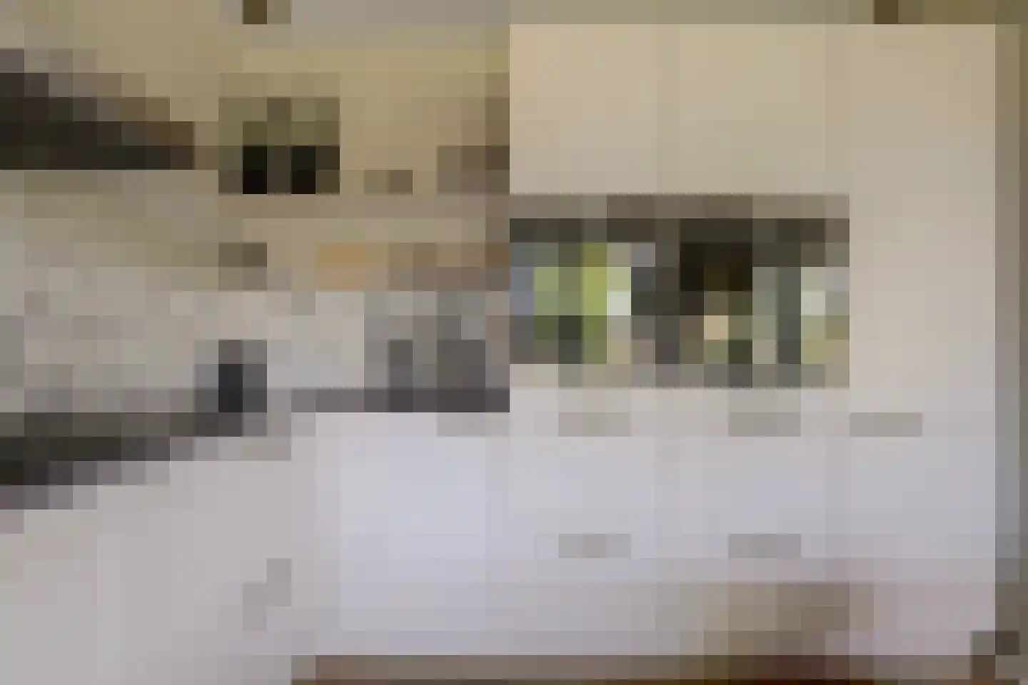 Barbeel 3 Hendrik-Ido-Ambacht thumbnail 22