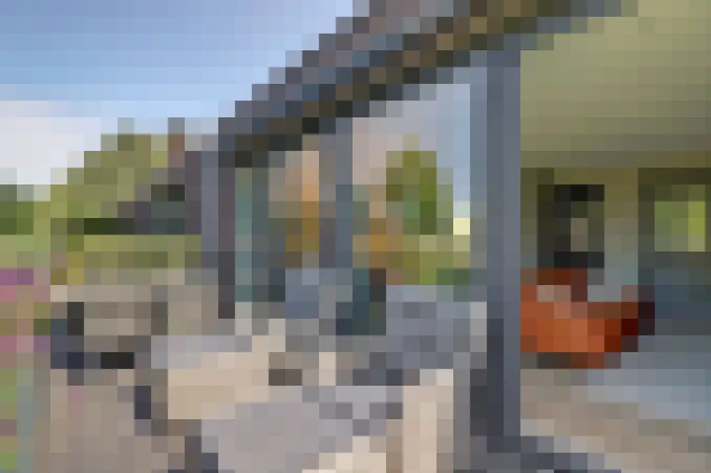 Barbeel 3 Hendrik-Ido-Ambacht thumbnail 27