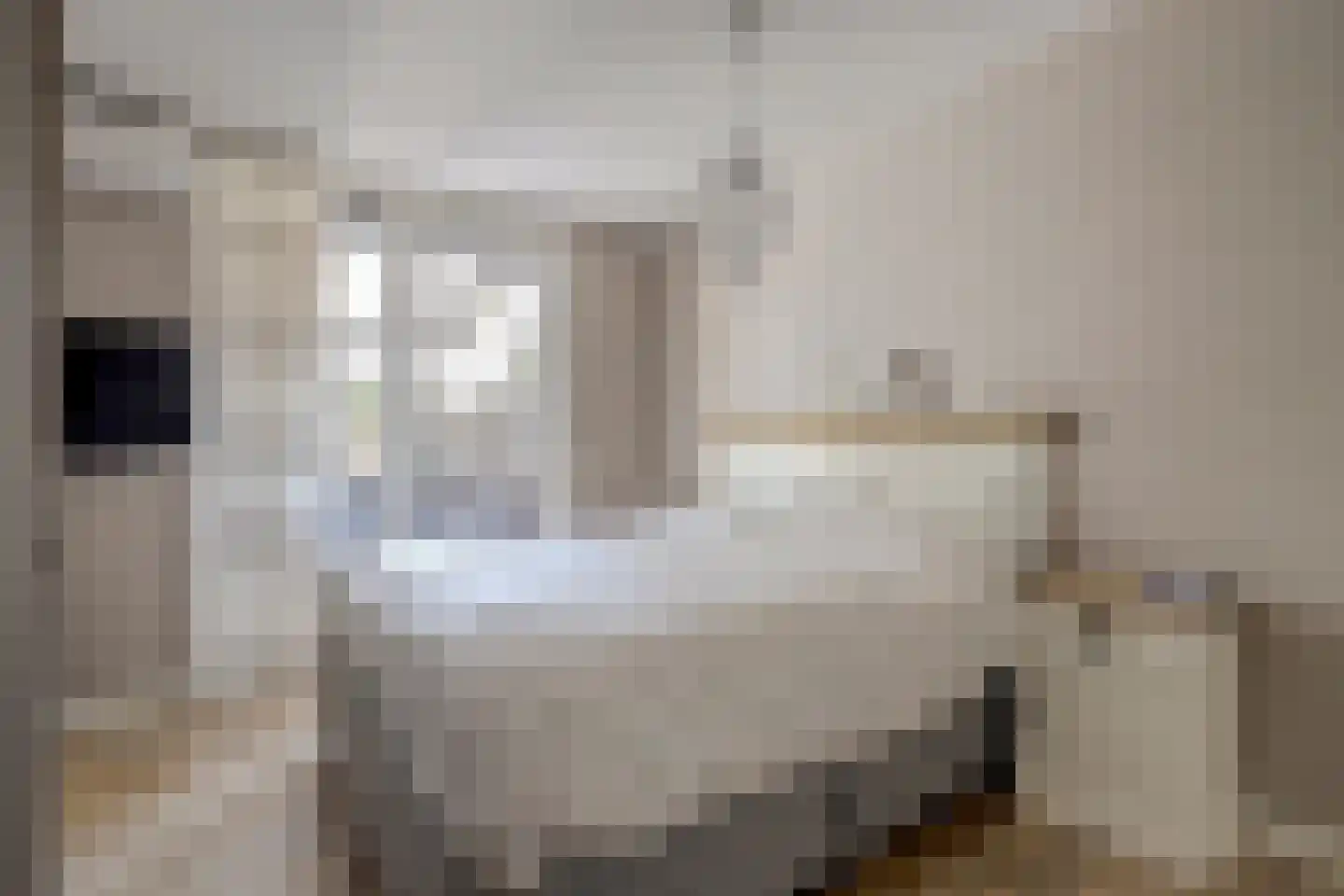 Barbeel 3 Hendrik-Ido-Ambacht thumbnail 30