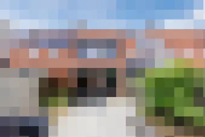 Barbeel 6 Hellevoetsluis thumbnail 25