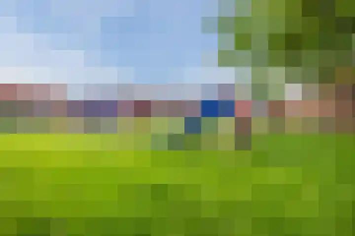 Barbeel 6 Hellevoetsluis thumbnail 27