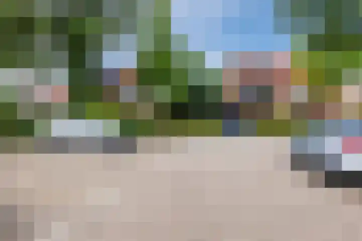 Barbeel 6 Hellevoetsluis thumbnail 30