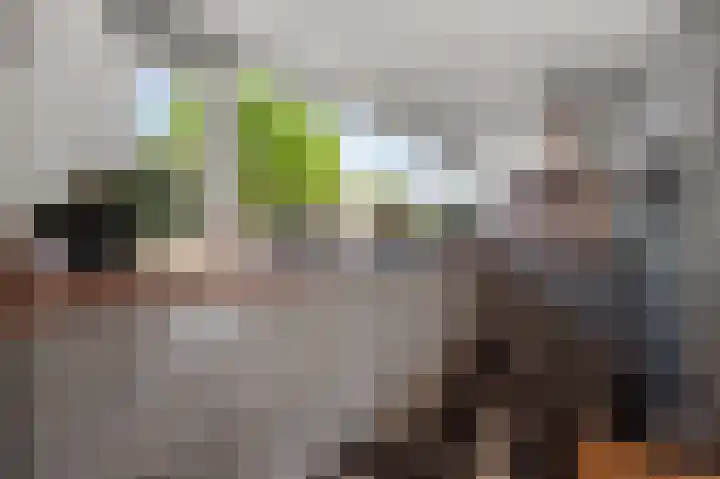Barbeel 6 Krommenie thumbnail 12