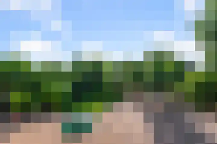Barbeel 6 Krommenie thumbnail 18