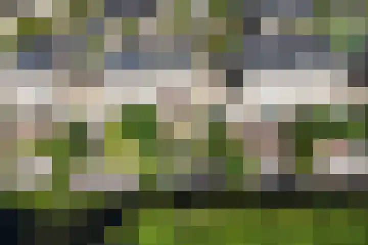 Barbeel 6 Krommenie thumbnail 19