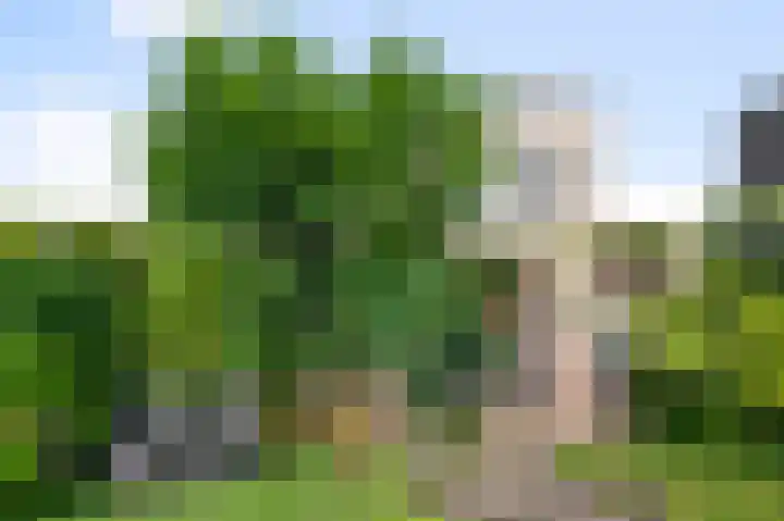 Barbeel 6 Krommenie thumbnail 21