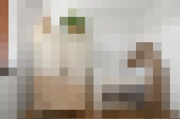 Barbeel 6 Krommenie thumbnail 33