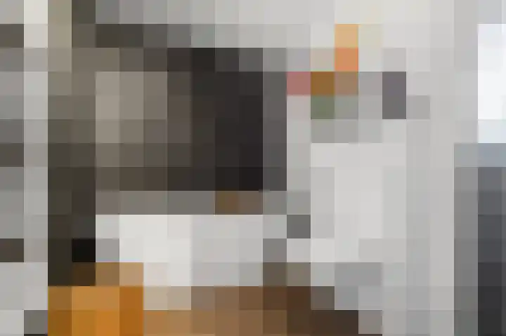 Barbeel 6 Krommenie thumbnail 37