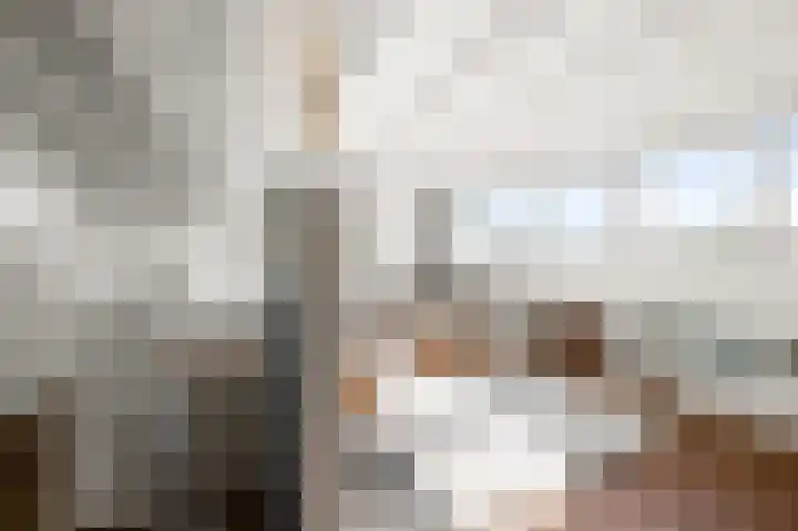 Barbeel 6 Krommenie thumbnail 40