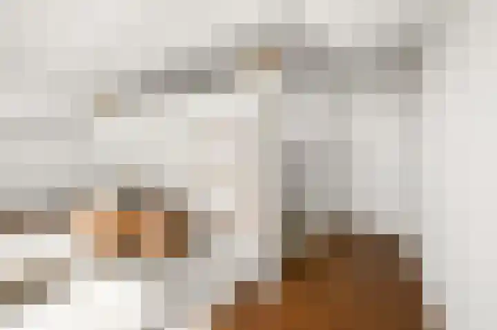 Barbeel 6 Krommenie thumbnail 44