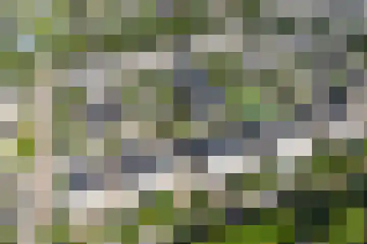 Barbeel 6 Krommenie thumbnail 45