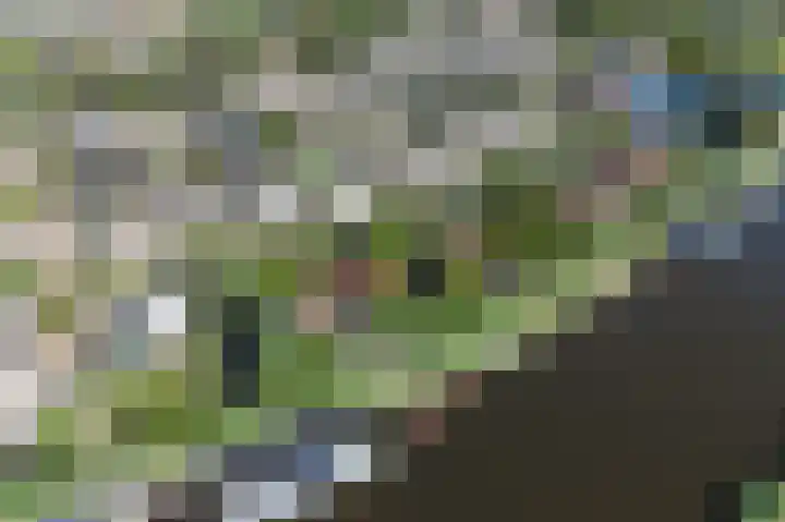 Barbeel 6 Krommenie thumbnail 46