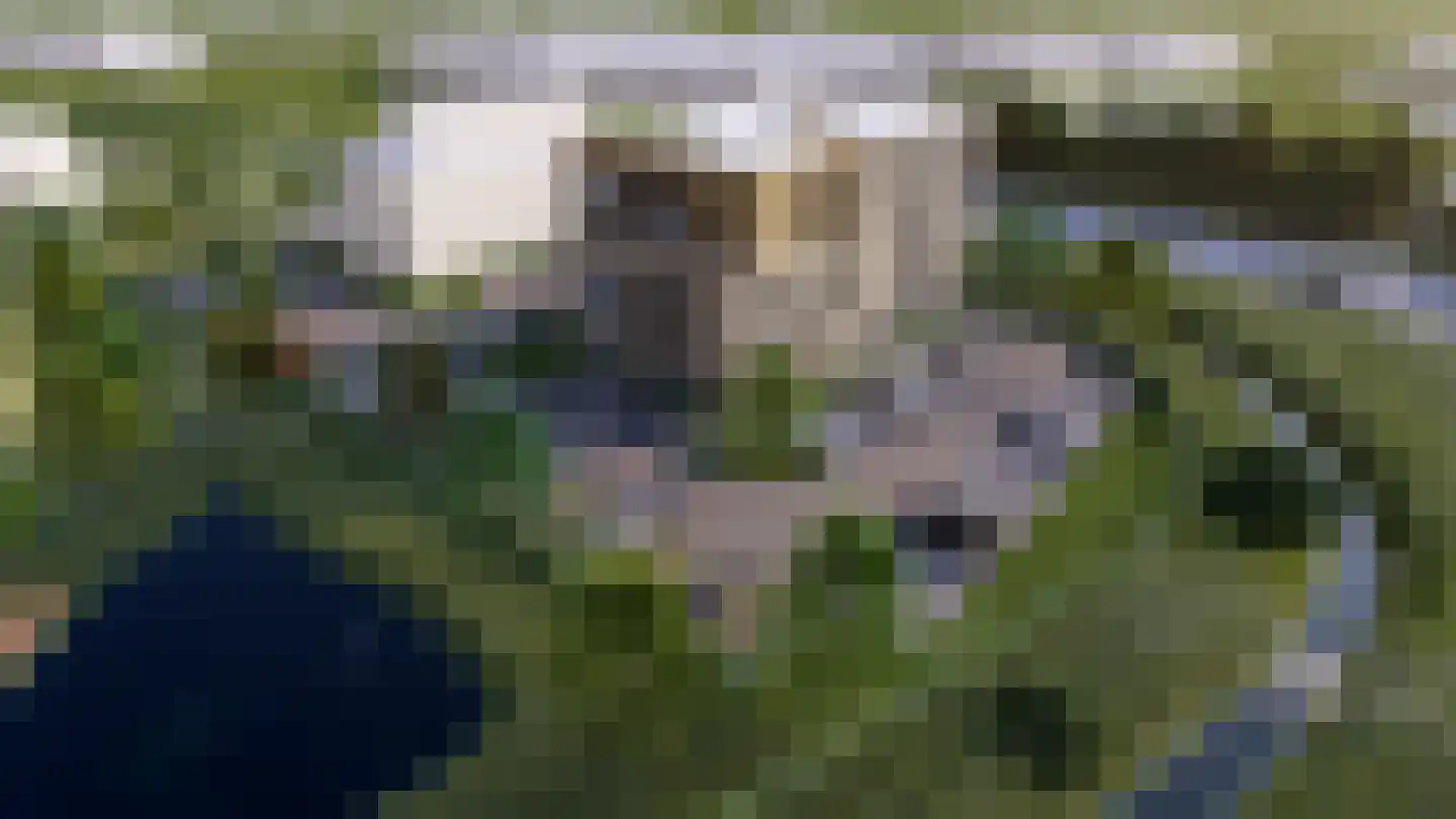 Barbeelweg 1 Raamsdonksveer thumbnail 6