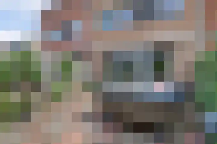 Barbershopdreef 36 Harderwijk thumbnail 4