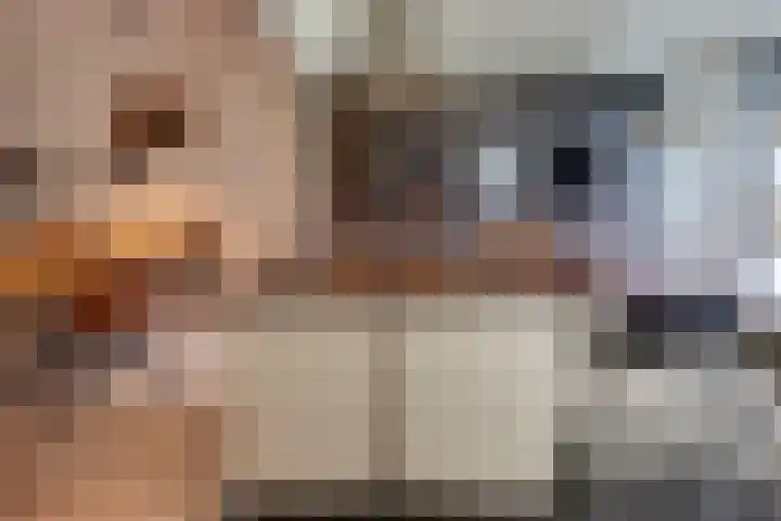 Barbershopdreef 40 Harderwijk thumbnail 11